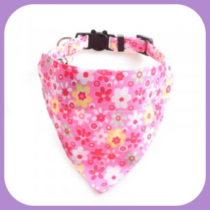 Collar-036